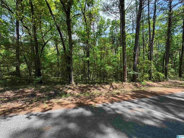 000 RIDGEWAY CIRCLE, Talladega, AL 35160