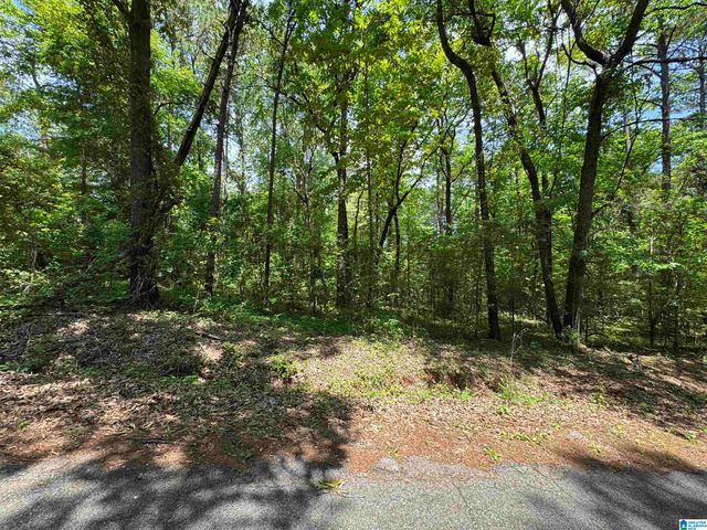 000 RIDGEWAY CIRCLE, Talladega, AL 35160