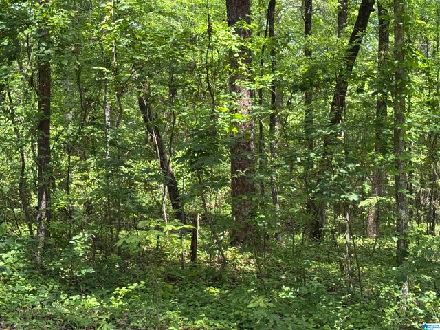 000 RIDGEWAY CIRCLE, Talladega, AL 35160