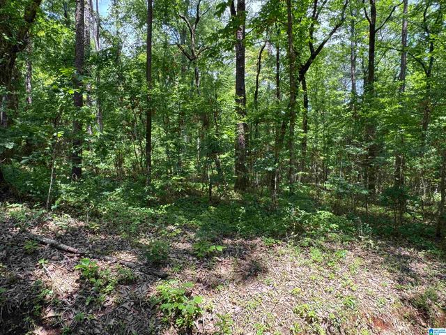 000 RIDGEWAY CIRCLE, Talladega, AL 35160