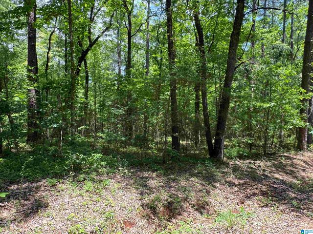 000 RIDGEWAY CIRCLE, Talladega, AL 35160