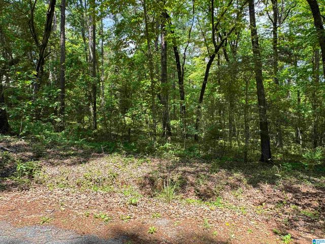 000 RIDGEWAY CIRCLE, Talladega, AL 35160