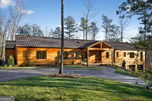 160 Black Ankle Drive, Cherry Log, GA 30522