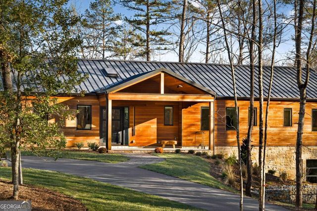 160 Black Ankle Drive, Cherry Log, GA 30522