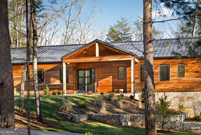 160 Black Ankle Drive, Cherry Log, GA 30522