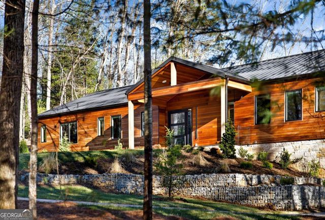 160 Black Ankle Drive, Cherry Log, GA 30522