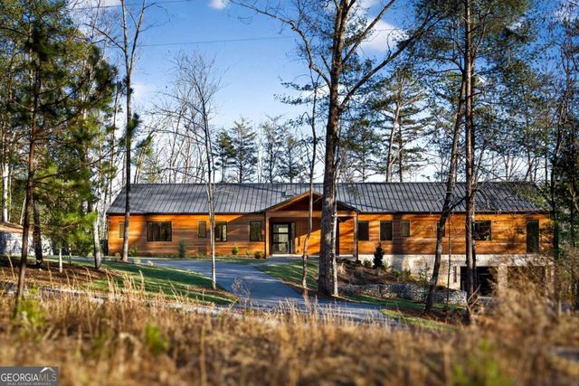 160 Black Ankle Drive, Cherry Log, GA 30522
