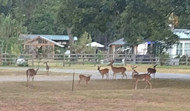 144 Thornton, Trinity, TX 75862