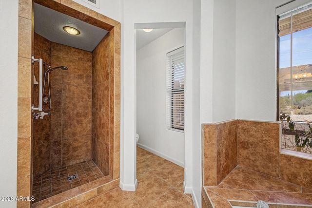 26224 N AVENIDA DEL RAY --, Rio Verde, AZ 85263
