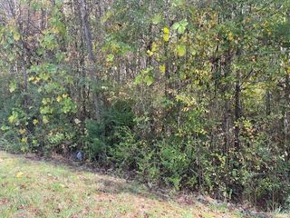 0 Probasco Street, Lafayette, GA 30728