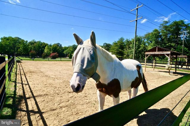 2008 COAST GUARD DR, Stafford, VA 22554