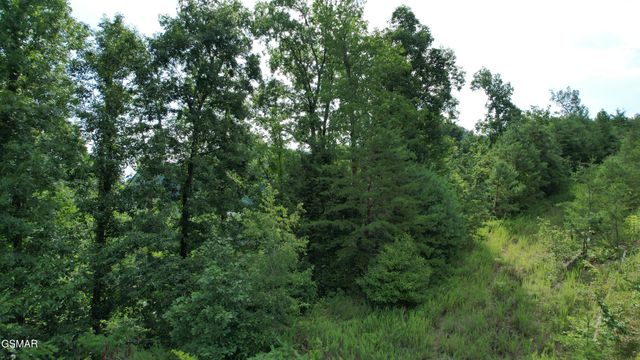 20, 21,37 Cherokee Valley Drive, Sevierville, TN 37862