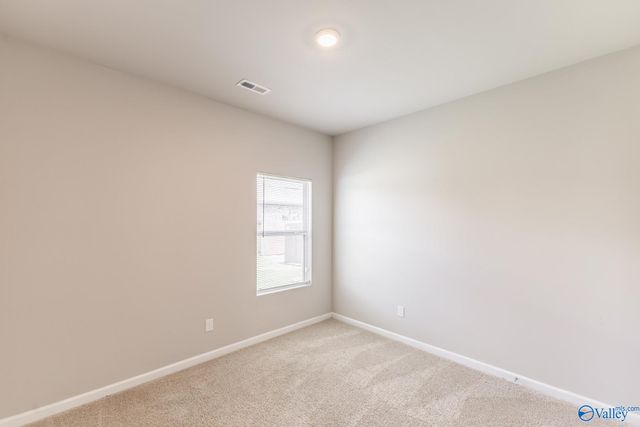 104 Arctic Fox Trail, Meridianville, AL 35759