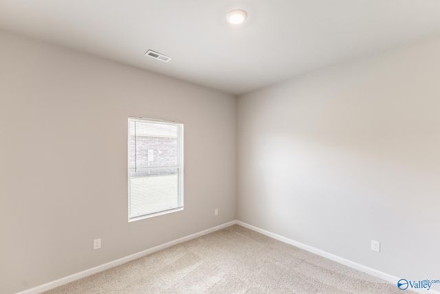 104 Arctic Fox Trail, Meridianville, AL 35759