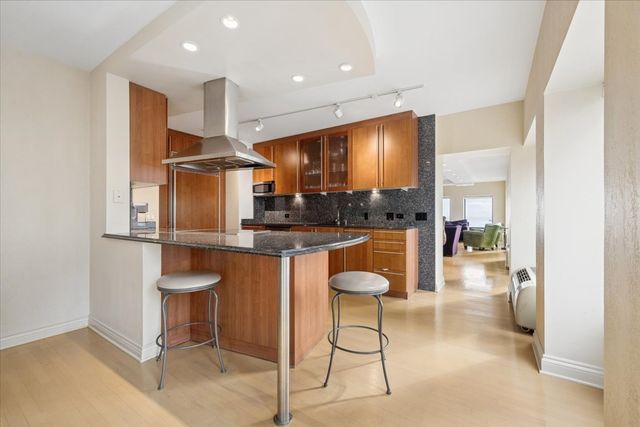 1100 N LAKE SHORE Drive 7B, Chicago, IL 60611