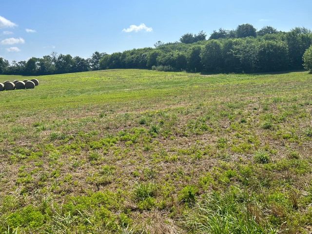 148 Cemetery Road B, Paris, KY 40361