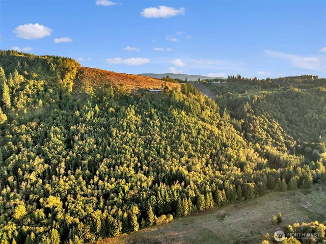 39904 NE Rotschy Road, Yacolt, WA 98675