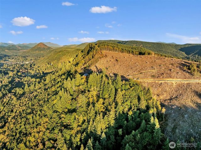 39904 NE Rotschy Road, Yacolt, WA 98675