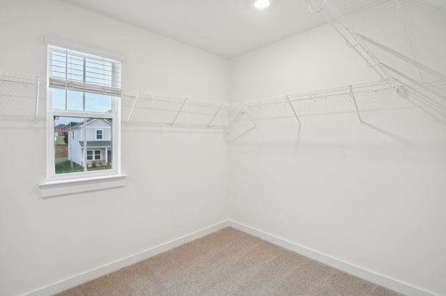 830 Bird Bluff, Clarksville, TN 37043