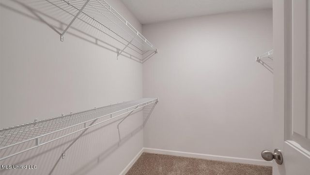 15 S Thorn Tree Street, Byhalia, MS 38611