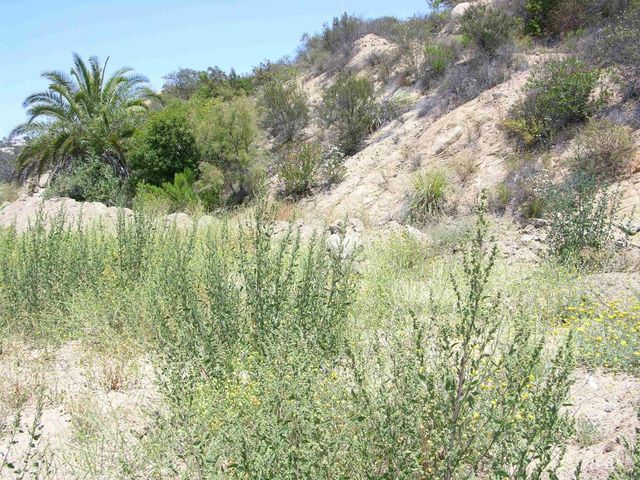 Lot 56 Welcome View, Escondido, CA 92026