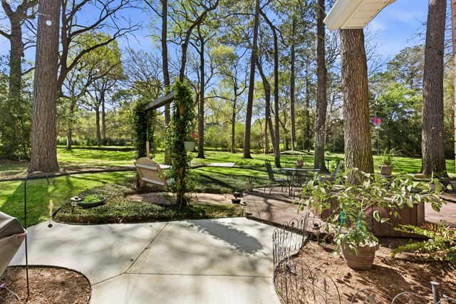 21815 Fearless Drive, Hockley, TX 77447