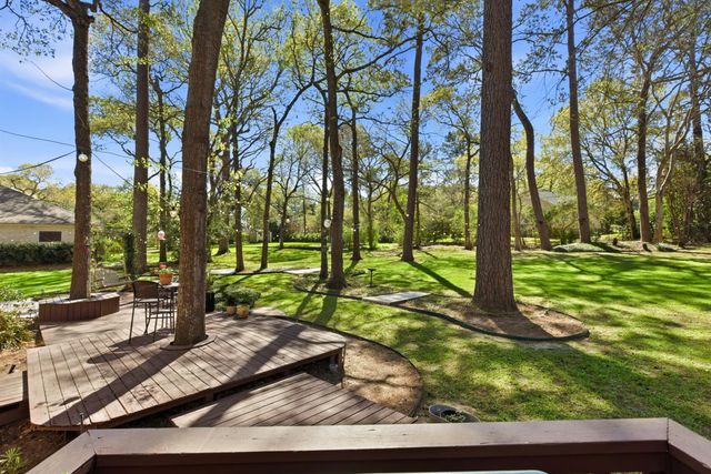 21815 Fearless Drive, Hockley, TX 77447