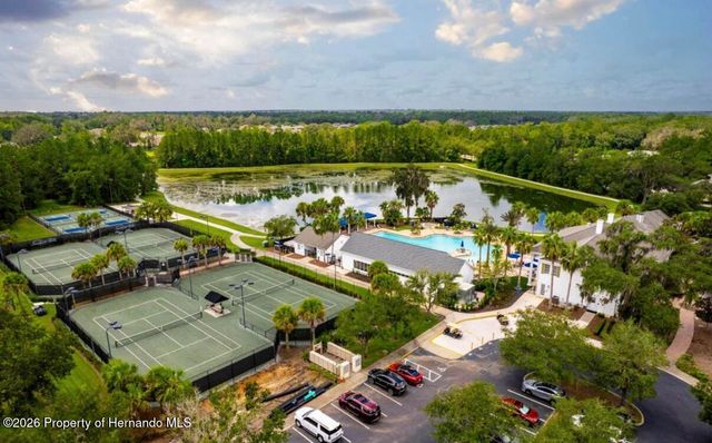 19612 Sterling Bluff Way, Brooksville, FL 34601