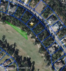 19612 Sterling Bluff Way, Brooksville, FL 34601
