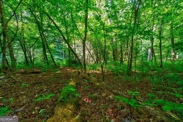 5.31 Tom Bell Odom Road, Dahlonega, GA 30533