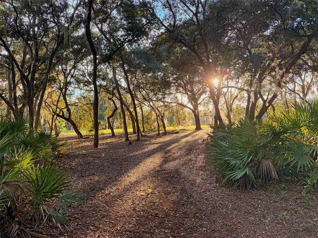 11064 NE 212TH LANE, Fort Mc Coy, FL 32134