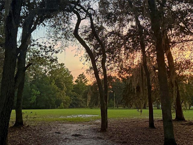 11064 NE 212TH LANE, Fort Mc Coy, FL 32134