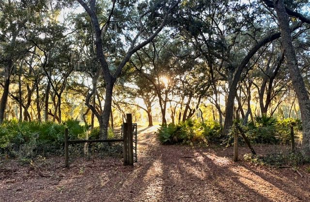 11064 NE 212TH LANE, Fort Mc Coy, FL 32134