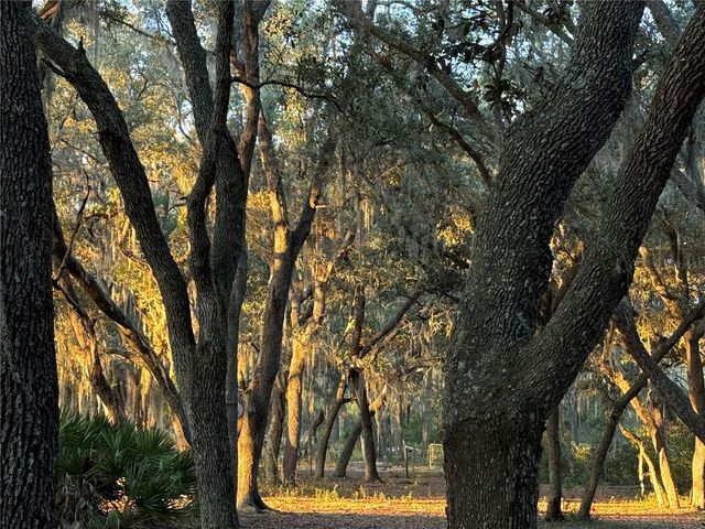 11064 NE 212TH LANE, Fort Mc Coy, FL 32134