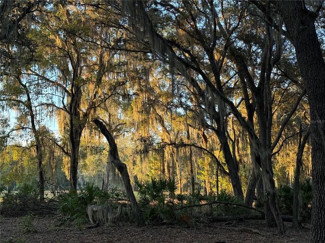 11064 NE 212TH LANE, Fort Mc Coy, FL 32134