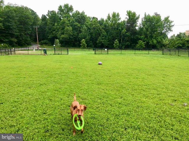 6404 13TH ST, Alexandria, VA 22307