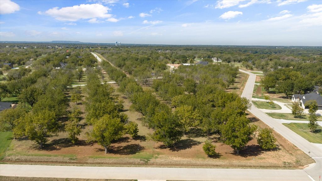 2013 Skylane Drive, Granbury, TX 76049 — photo 3