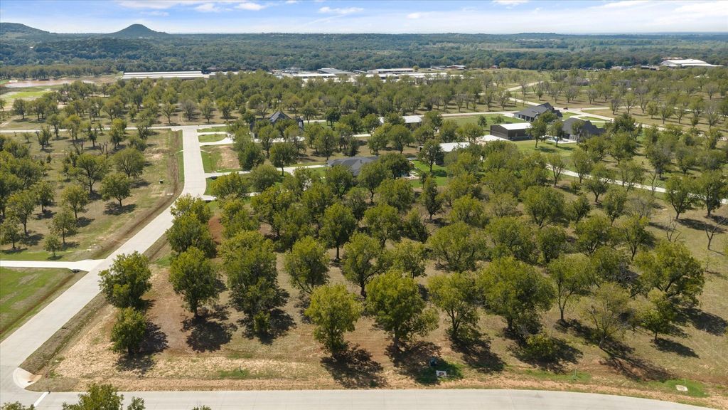 2013 Skylane Drive, Granbury, TX 76049 — photo 5