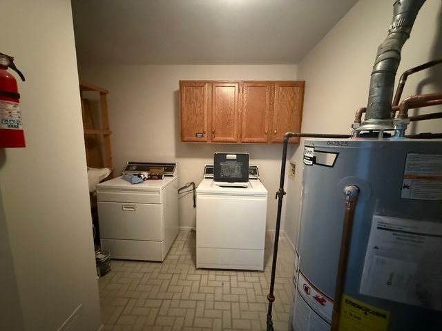 1168 Auburn Lane 1168, Buffalo Grove, IL 60089