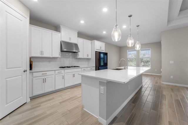 2347 OVERFALLS PLACE, Wesley Chapel, FL 33543