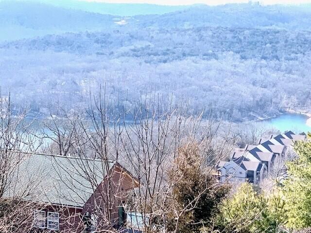 43 Songbird Circle 1, Branson, MO 65616