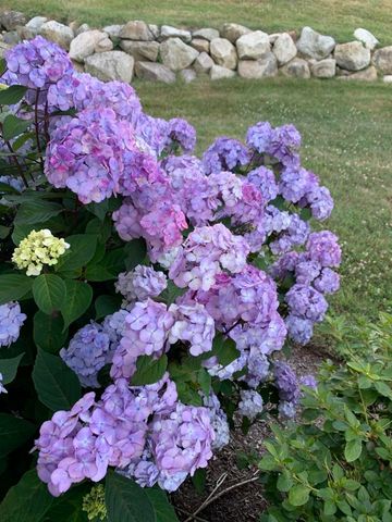 30 Highland Terrace APT 3007, White Horse Beach, MA 02360