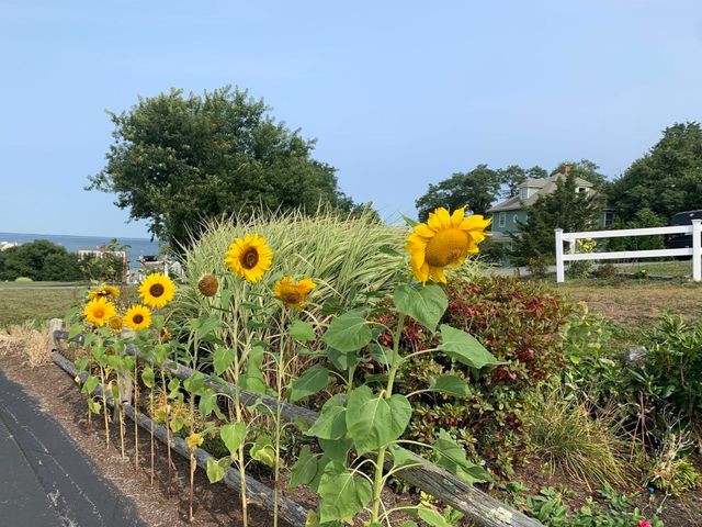 30 Highland Terrace APT 3007, White Horse Beach, MA 02360