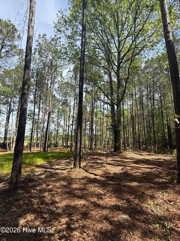 451 Governors Road SE, Winnabow, NC 28479