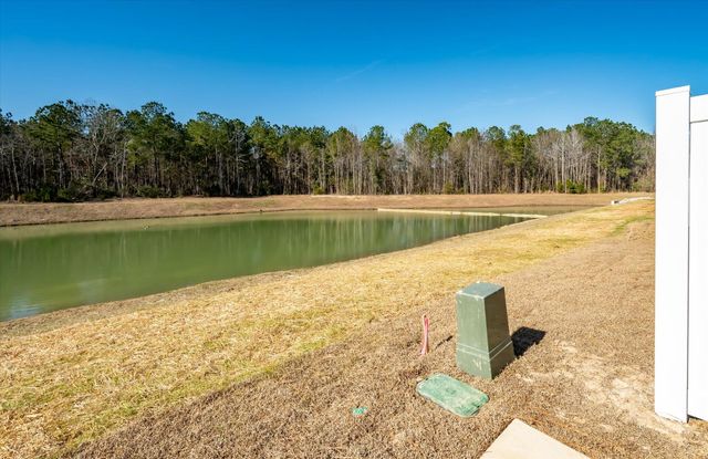 428 Duskywing Drive, Goose Creek, SC 29445