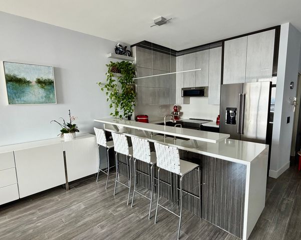 1235 S Prairie Avenue 3306, Chicago, IL 60605