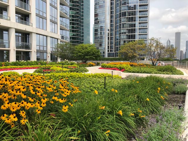 1235 S Prairie Avenue 3306, Chicago, IL 60605