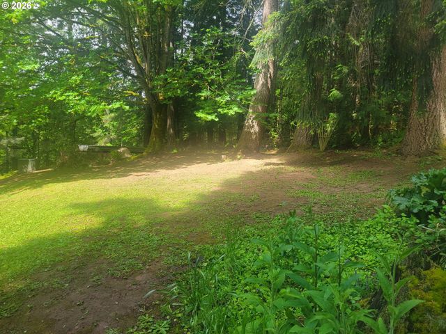 28567 SCAPPOOSE VERNONIA Hwy, Scappoose, OR 97056