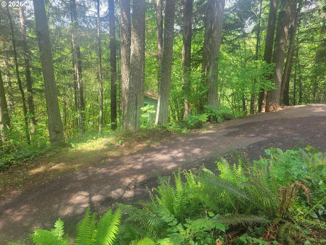 28567 SCAPPOOSE VERNONIA Hwy, Scappoose, OR 97056