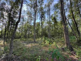 SF-14 La Hwy 16, Denham Springs, LA 70706
